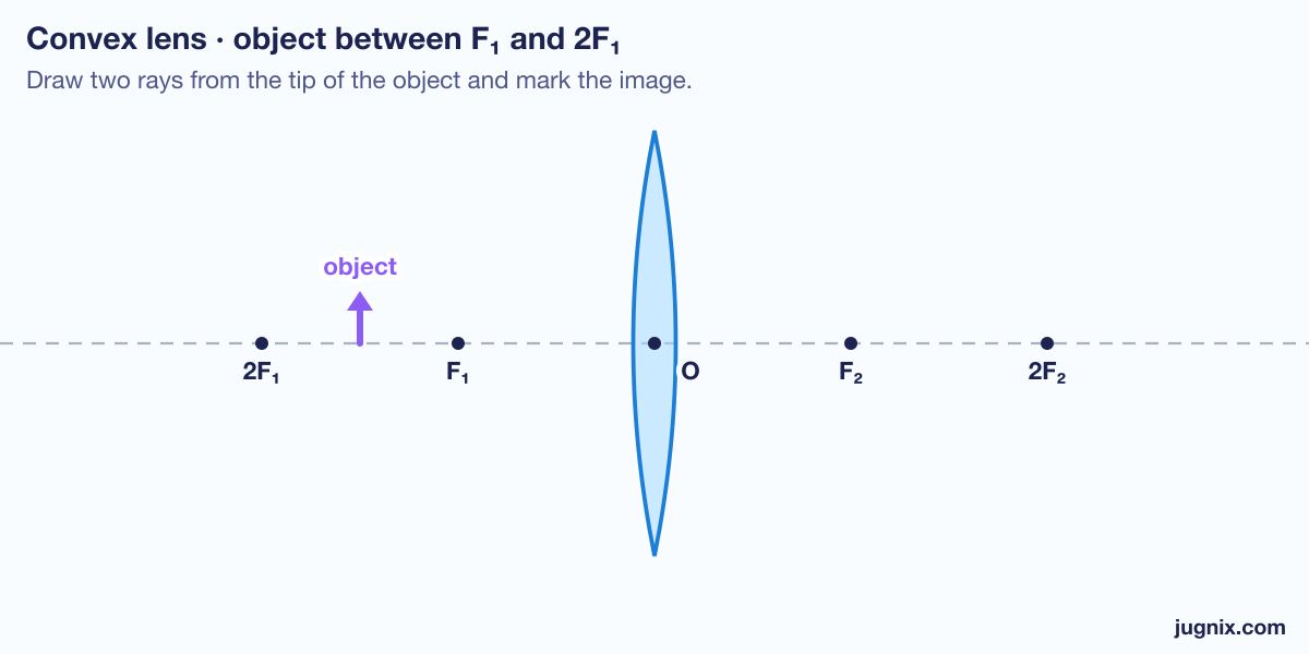 Blank ray diagram: a convex lens with F₁, 2F₁, F₂ and 2F₂ marked and an object between F₁ and 2F₁, for students to draw the rays and the image.